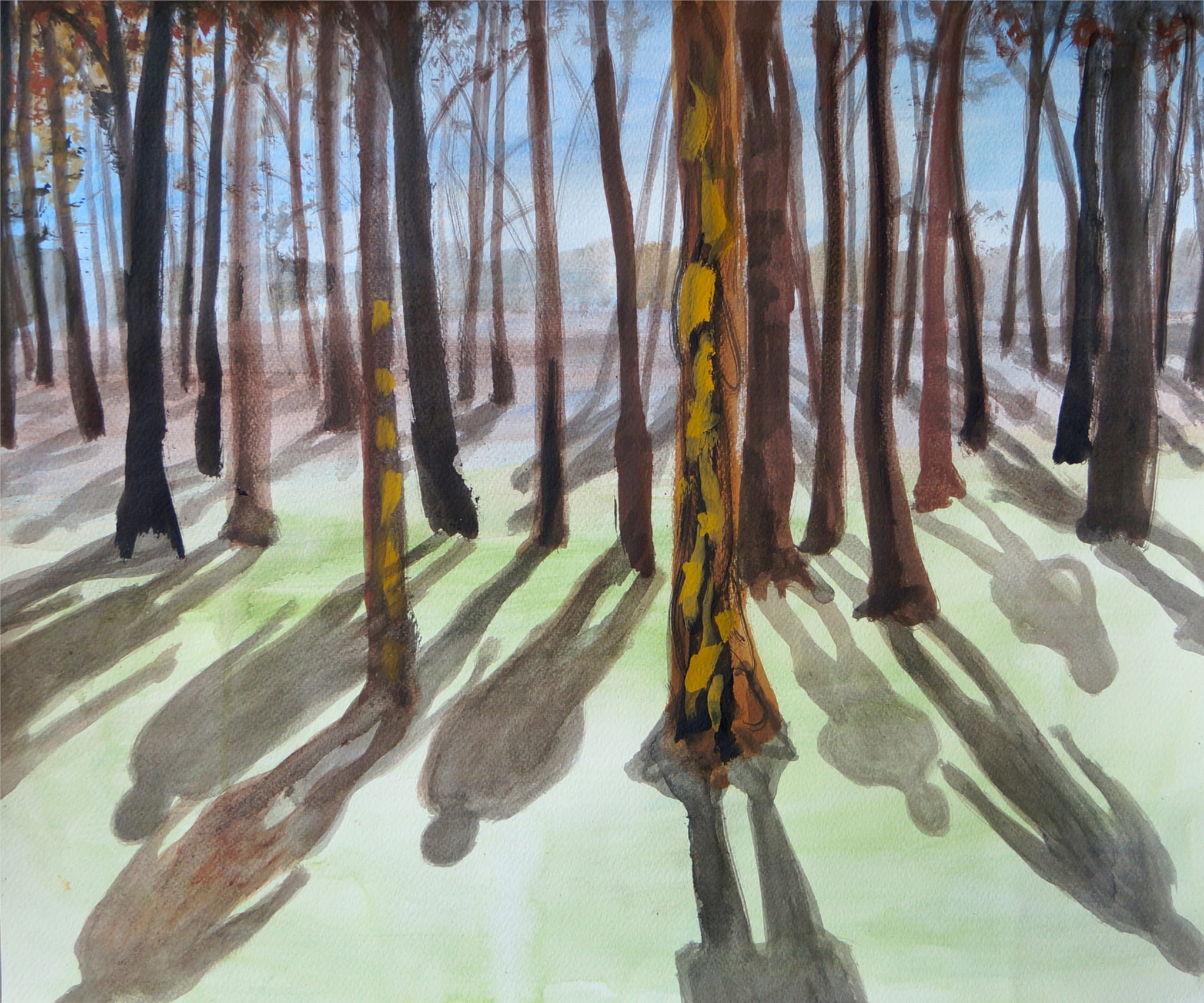 Wald