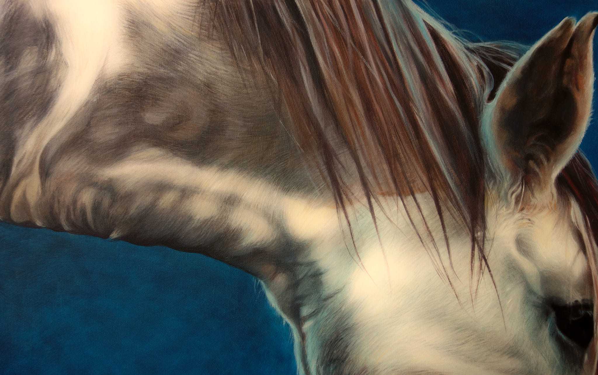 Seepferdchen (Detail)