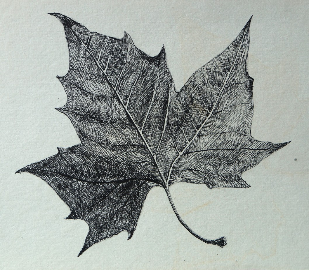 Blatt